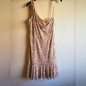 Adrianna Papell Mauve One Shoulder Sequin Dress